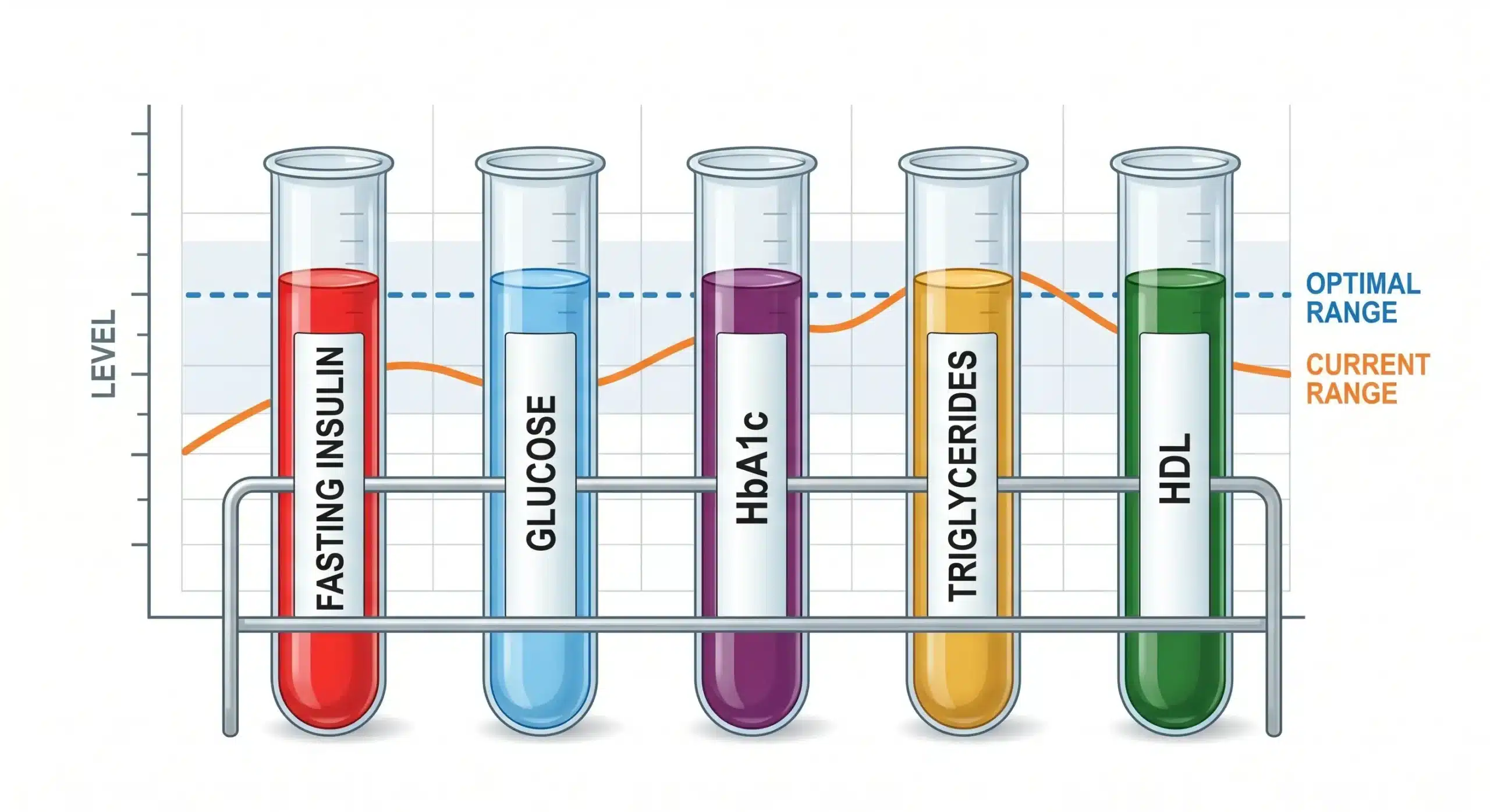 Five test tubes showing key metabolic biomarkers: fasting insulin, glucose, HbA1c, triglycerides, and HDL cholesterol with optimal ranges