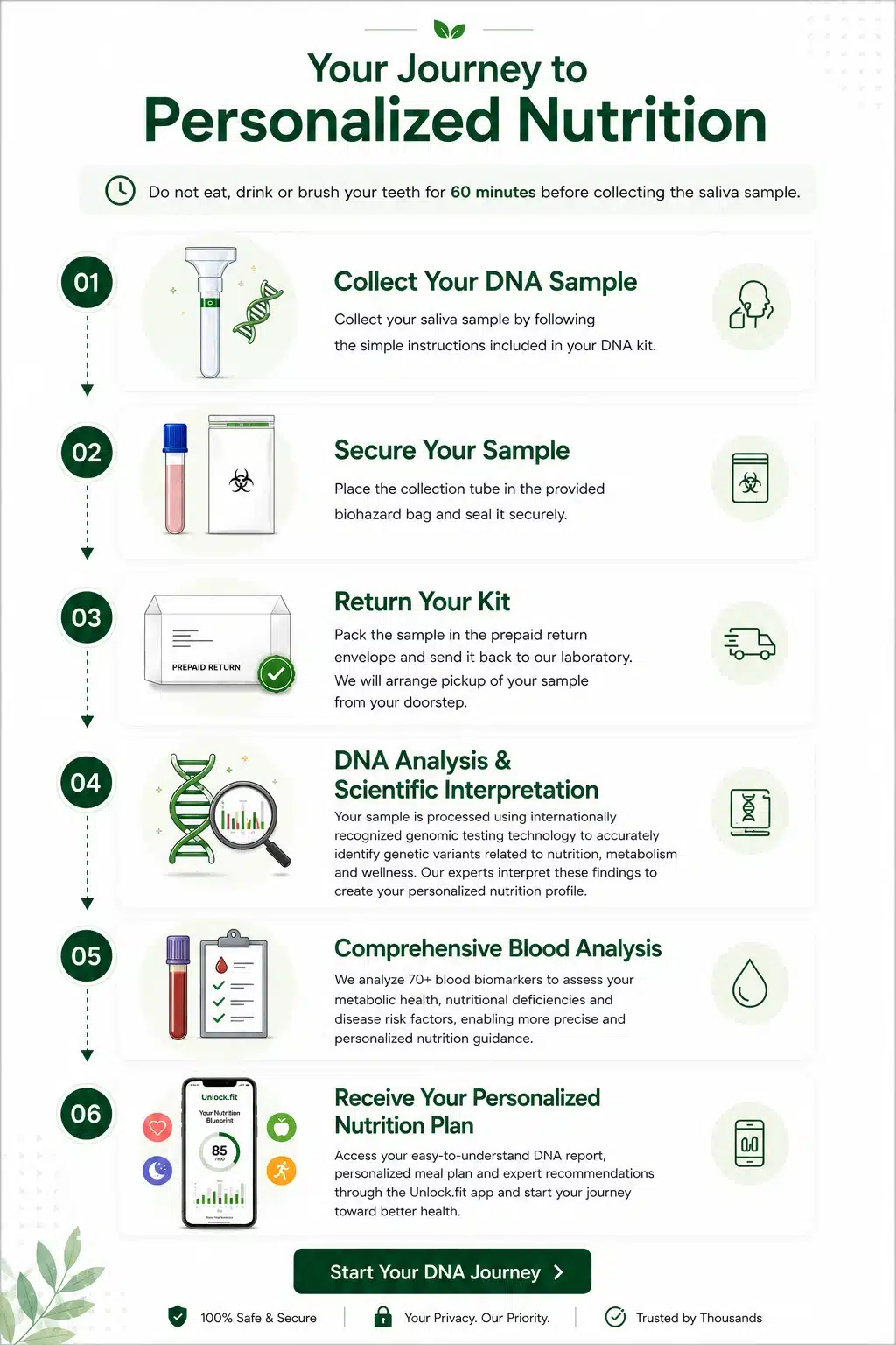 Your journey to personalized nutrition: 1) Collect your DNA sample, 2) Secure your sample, 3) Return your kit, 4) DNA analysis & scientific interpretation, 5) Comprehensive blood analysis, 6) Receive your personalized nutrition plan